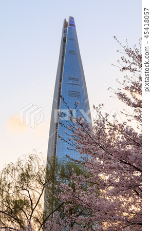 Skyscrapers and cherry trees 45418057