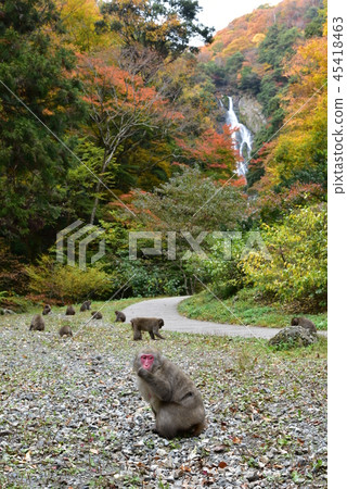Kanba Falls 45418463