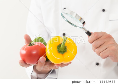 食物控制 食物控制 45418611
