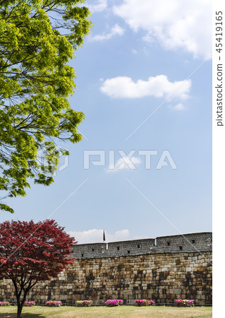 Suwon Hwaseong 45419165