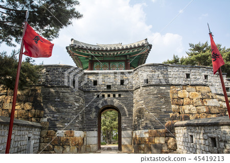 Suwon Hwaseong 45419213