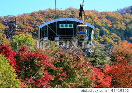 秋天高原駐地Beppu Tsurumi-dake 秋天高原駐地Beppu Tsurumi-dake 45419592