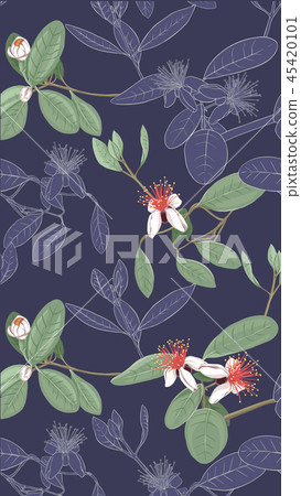 Pattern, background with with feijoa flowers 45420101