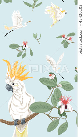 Pattern, background with with feijoa flowers 45420102