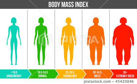 Creative Vector Illustration Of Bmi Body Mass Stock Illustration 45420846 Pixta