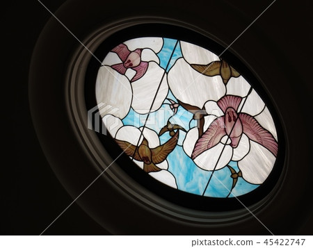 Bird stained glass Bird stained glass 45422747