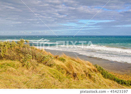Surf beach - Point Lonsdale Surf beach - Point Lonsdale 45423197