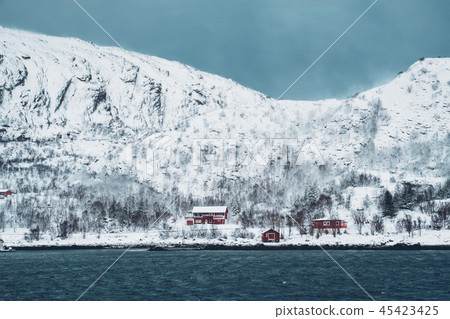 Red rorbu houses in Norway in winter 45423425