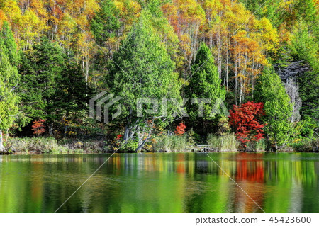 Kinu autumn wood mouth pond Kinu autumn wood mouth pond 45423600