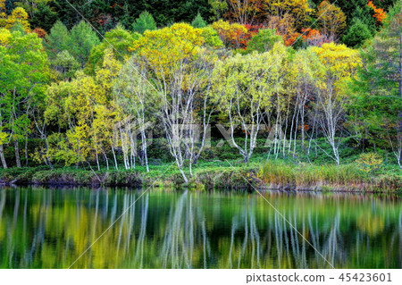 Kinu autumn wood mouth pond Kinu autumn wood mouth pond 45423601