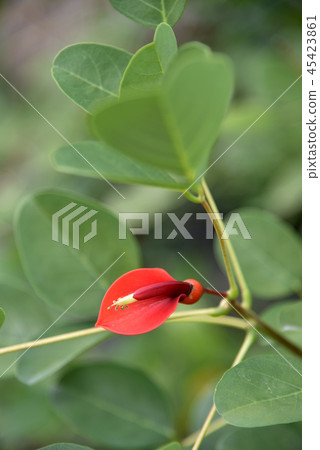 America Digg America Digg 45423861