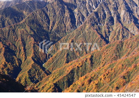 通往Tohoku Iideho山頂的道路Ii Odake秋葉的谷的視圖 通往Tohoku Iideho山頂的道路Ii Odake秋葉的谷的視圖 45424547