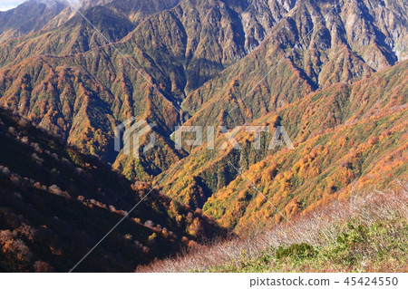 The road to the top of the Tohoku Iideho mountain peak Ii Odake view of the valley of the autumn leaves 45424550