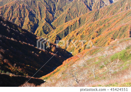 The road to the top of the Tohoku Iideho mountain peak Ii Odake view of the valley of the autumn leaves The road to the top of the Tohoku Iideho mountain peak Ii Odake view of the valley of the autumn leaves 45424551