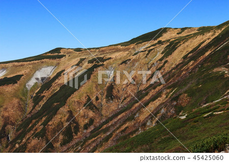 Tohoku Iidoseki Mountain Road到Ieyutoyama的頂部從客艙山脊線俯瞰山頂 Tohoku Iidoseki Mountain Road到Ieyutoyama的頂部從客艙山脊線俯瞰山頂 45425060