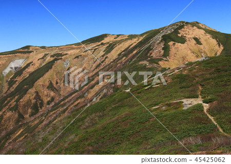 Tohoku Iidoseki Mountain Road到Ieyutoyama的頂部從客艙山脊線俯瞰山頂 Tohoku Iidoseki Mountain Road到Ieyutoyama的頂部從客艙山脊線俯瞰山頂 45425062