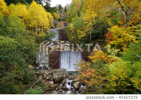 Let's go Hachimantai of autumnal leaves 45425335