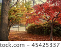 Autumn landscape 45425337