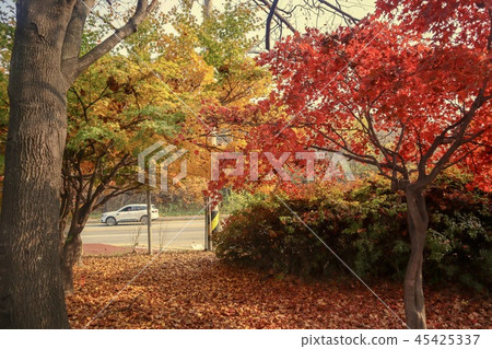 Autumn landscape 45425337