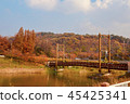 Autumn landscape 45425341
