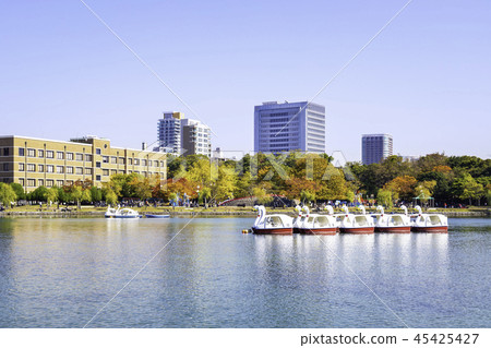 綠洲公園的水和綠色 45425427