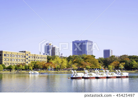 綠洲公園的水和綠色 45425497