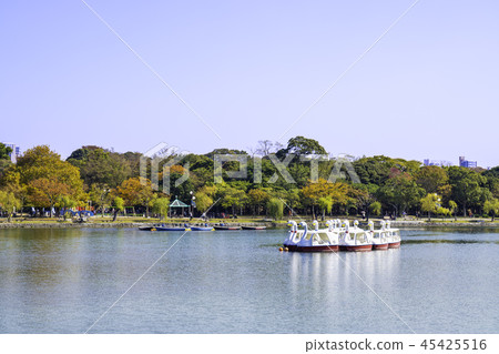 綠洲公園的水和綠色 45425516