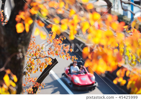 Autumn colored amusement park Autumn colored amusement park 45425999
