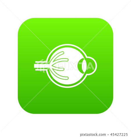 Human eyeball icon digital green Human eyeball icon digital green 45427225