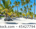 Sun chairs on the beach among palm trees in the re 45427794