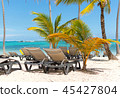 Sun chairs on the beach among palm trees in the re 45427804