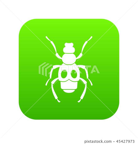 Beetle insect icon digital green Beetle insect icon digital green 45427973