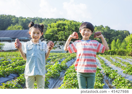 Cute little boy and girl harvesting together. Gardening, planting concept photo 258 Cute little boy and girl harvesting together. Gardening, planting concept photo 258 45427986