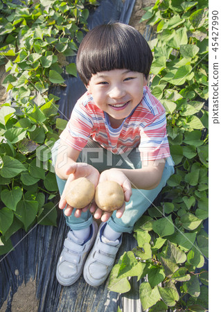 Cute little boy and girl harvesting together. Gardening, planting concept photo 252 Cute little boy and girl harvesting together. Gardening, planting concept photo 252 45427990