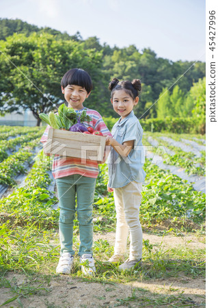 Cute little boy and girl harvesting together. Gardening, planting concept photo 247 Cute little boy and girl harvesting together. Gardening, planting concept photo 247 45427996