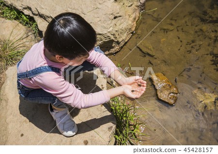 Cute little boy and girl harvesting together. Gardening, planting concept photo 158 Cute little boy and girl harvesting together. Gardening, planting concept photo 158 45428157