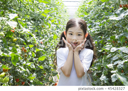 Cute little boy and girl harvesting together. Gardening, planting concept photo 076 Cute little boy and girl harvesting together. Gardening, planting concept photo 076 45428327