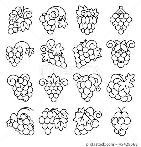 Grape fruit icon set, outline style Grape fruit icon set, outline style 45429568