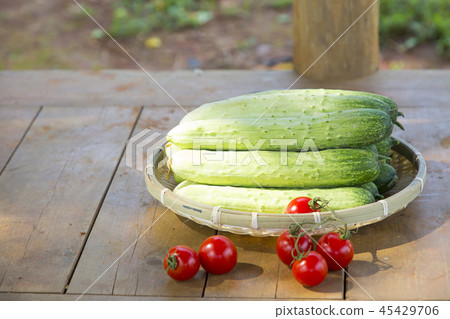 Fresh organic vegetables in the garden. Harvesting concept photo. 053 45429706