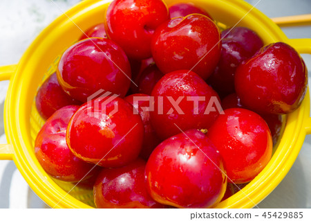 Fresh organic vegetables in the garden. Harvesting concept photo. 018 45429885