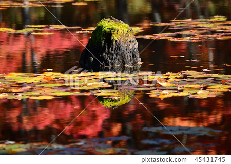 我去了Yanohara濕地#43 我去了Yanohara濕地#43 45431745