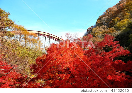 皇家峽谷的秋葉 皇家峽谷的秋葉 45432020