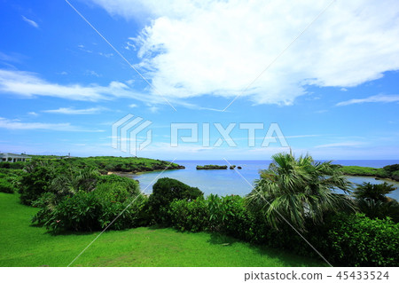Iriomote Island star sand beach Hibiscus flower and blue sea 45433524