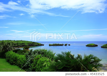 西表島海星沙子海灘木槿花和藍色海 45433525