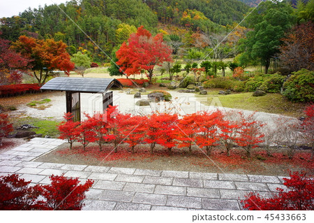 Chuzenji Shinshu Shiota 45433663