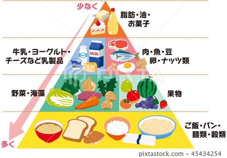 食物金字塔 45434254