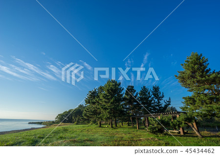 Blue sky by Lake Biwa 45434462