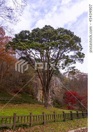 Sunwoon,Gochang和Jeonbuk Sunwoon,Gochang和Jeonbuk 45434907