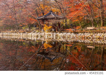 Sunwoon，Gochang和Jeonbuk 45435191