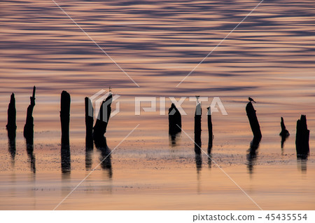 黎明與琵琶湖景觀與一堆 黎明與琵琶湖景觀與一堆 45435554